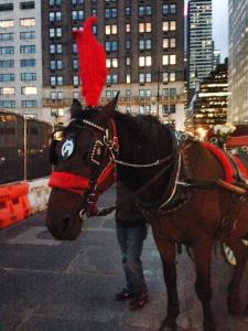 10710758_10100325908468899_3142536401102586467_n