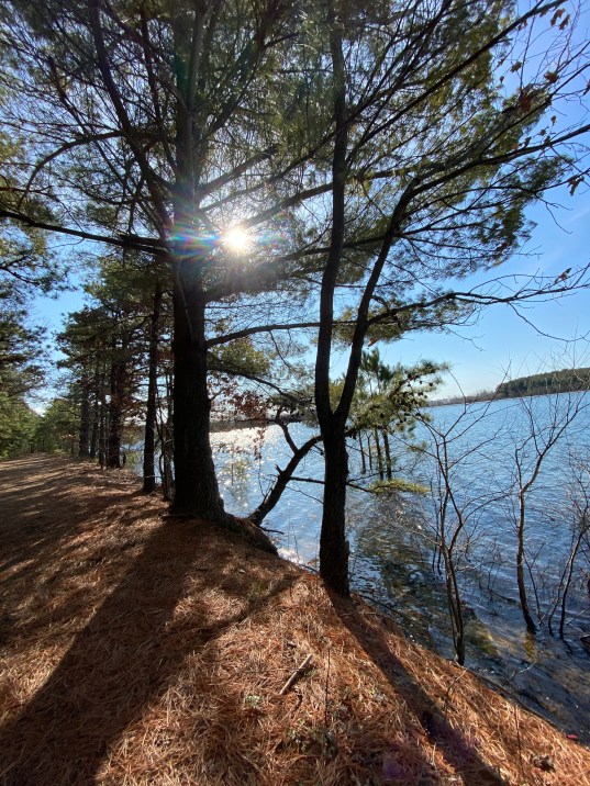 +Kx7ter9Txe0651avSxdQQ